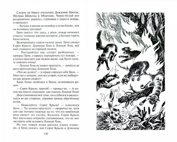 Книга Юность Грома (Хантер Эрин) - фото №5