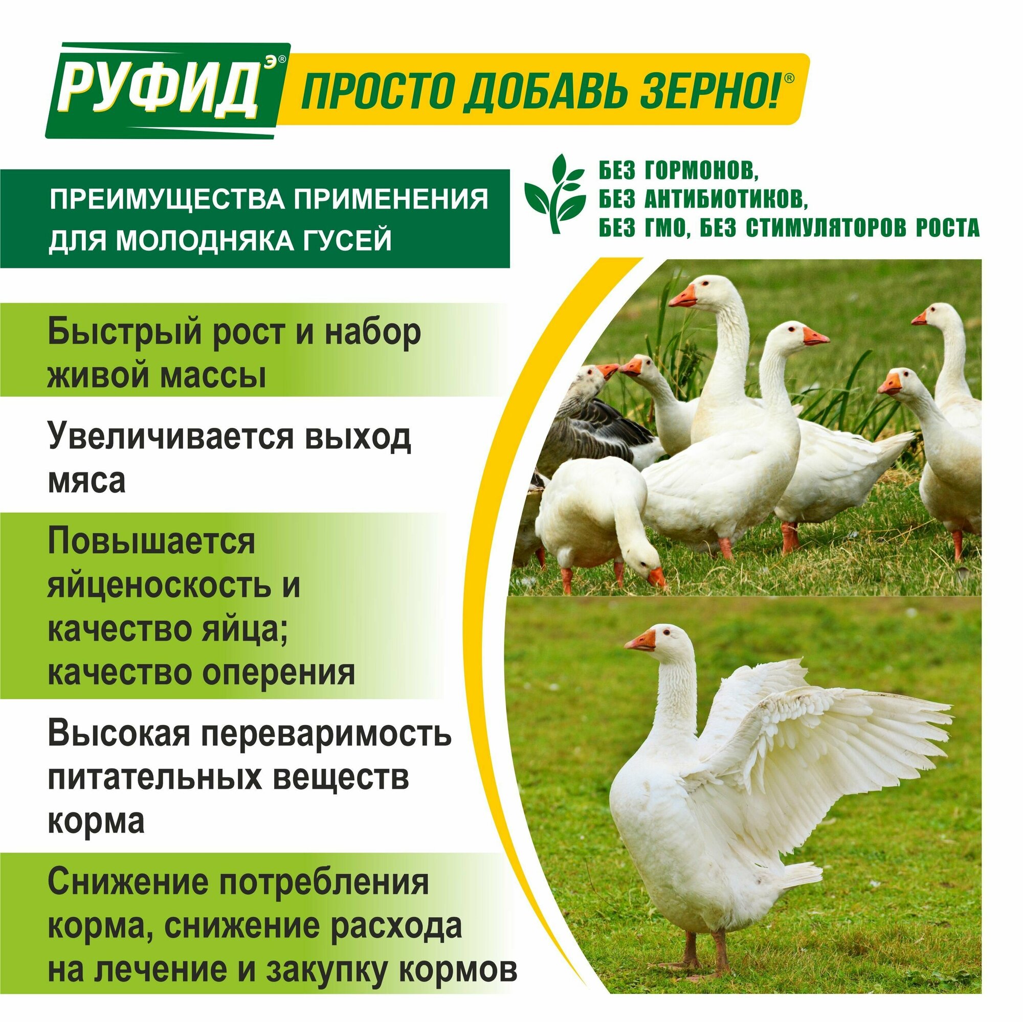 Витамины для птиц. Добавка в комбикорм. Корм гусят, гусей 4-8 недели. Бвмк руфидэ. Росагрокорм. 1,4 кг — фото 1