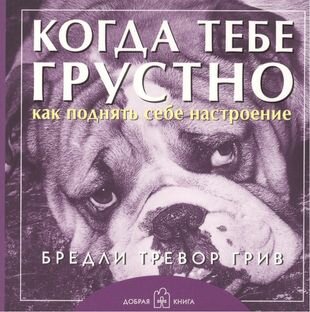 Когда тебе грустно. Как поднять себе настроение Брошюра (обложка с клапанами)