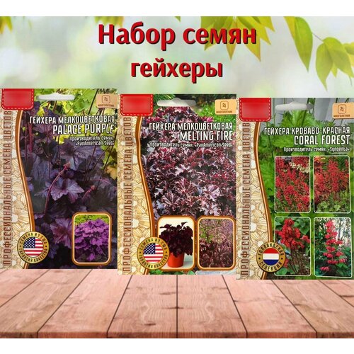 Семена цветов для сада Гейхера, набор 3 пакетика