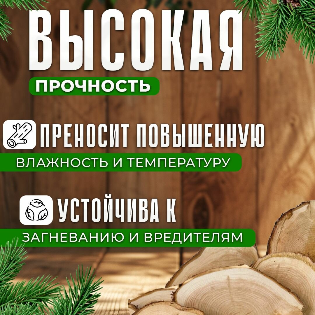 Изображение Материал для творчества спилы можжевельника