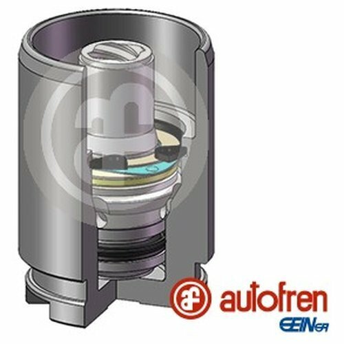 Поршень тормозного суппорта Seinsa/Autofren D02578K
