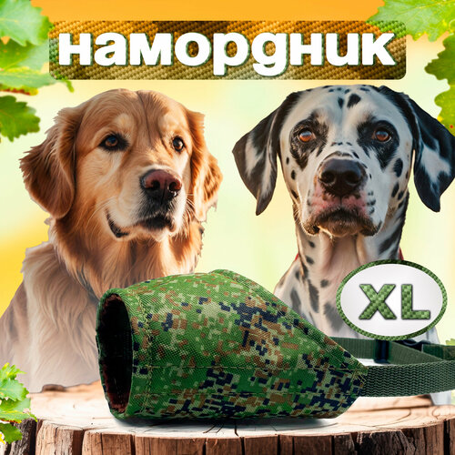 Намордник для собак