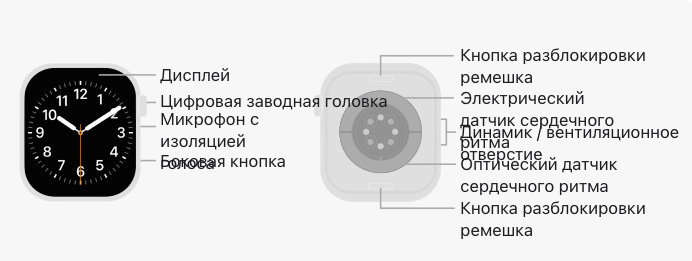 Умные часы Apple Watch Series 10 GPS, 42mm Rose Gold Aluminium Case with Plum Sport Loop — фото 1