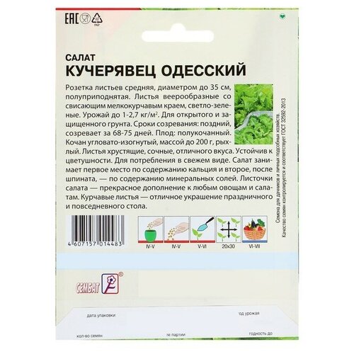 Семена ХХХL Салат Кучерявец одесский, 10 г семена хххl салат сембат кучерявец одесский 10 г