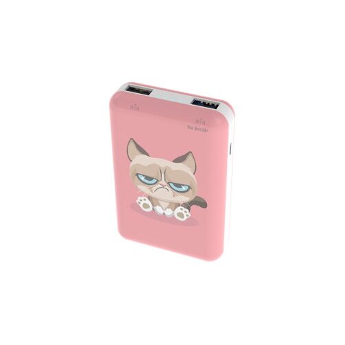 Внешний аккумулятор RITMIX RPB-10007 Grumpy Cat 139000₽