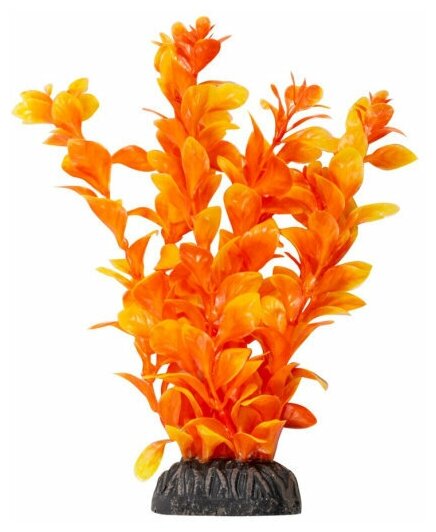 Растение Laguna Людвигия ярко-оранжевая для акариумов (10 см) - фотография № 2