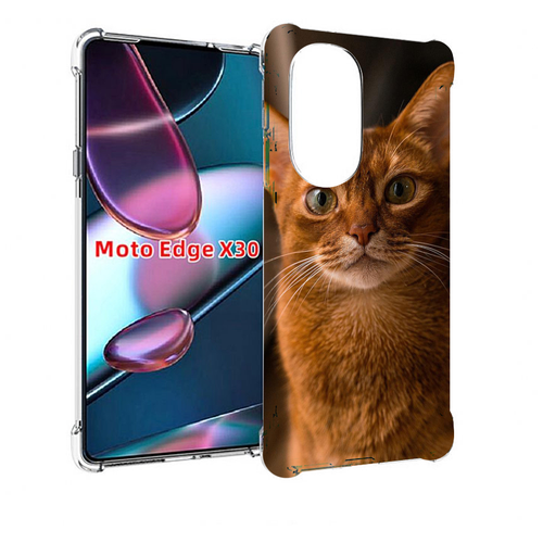 Чехол MyPads порода кошки абисинская для Motorola Moto Edge X30 задняя-панель-накладка-бампер