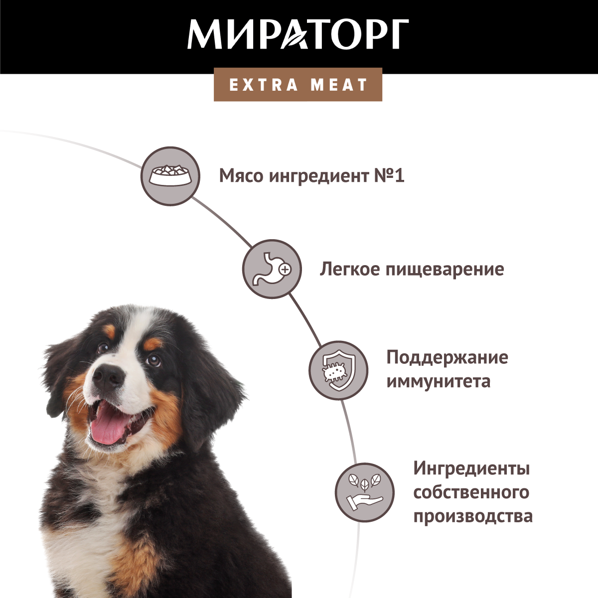 Корм сухой для щенков крупных пород в возрасте от 3 до 18 мес. c нежной телятиной Extra Meat Мираторг 1,5кг СК Короча - фото №3