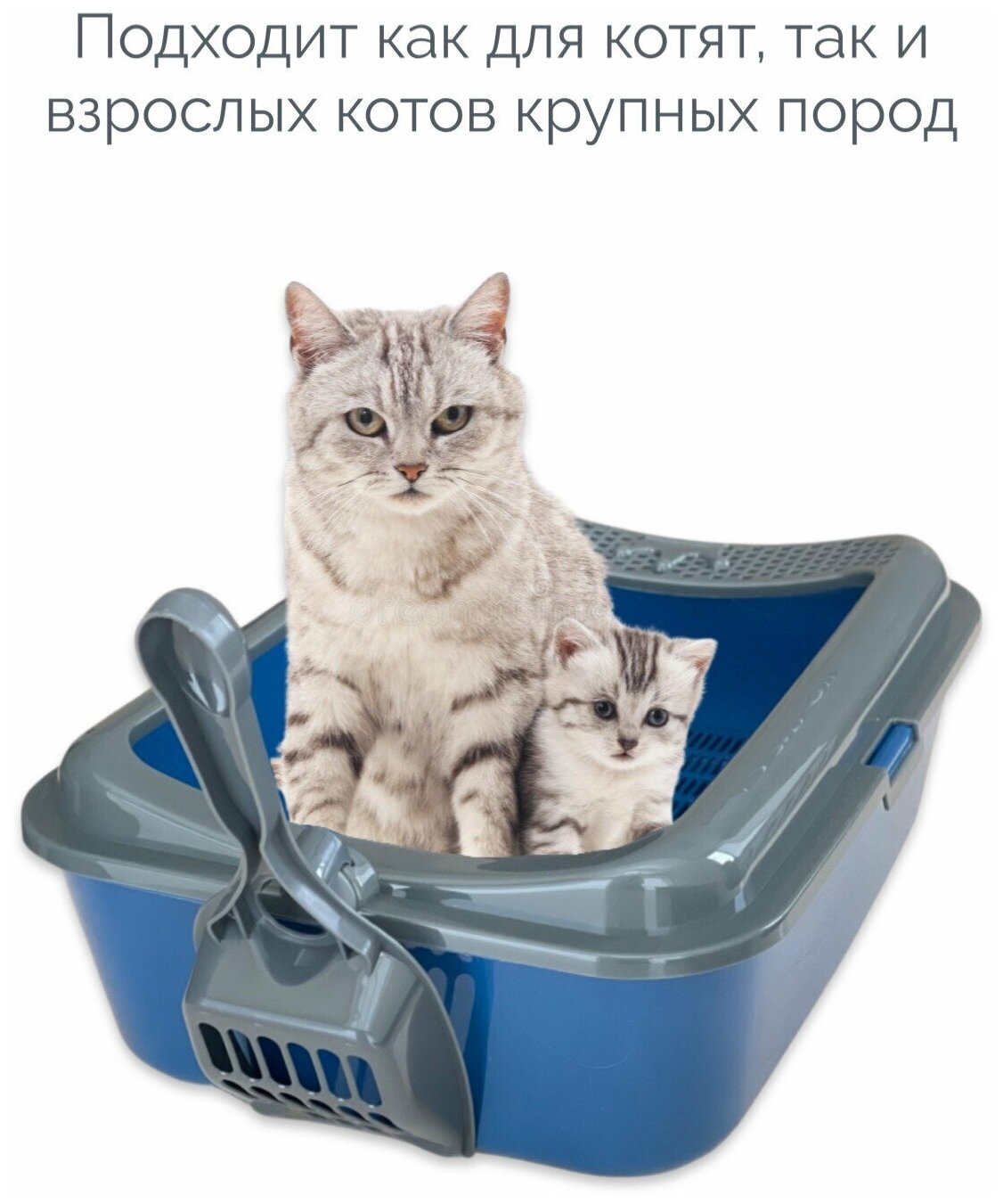 Туалет для кошек, лоток с сеткой и совком, синий с серым бортом, 39х30х13,5 см - фотография № 4