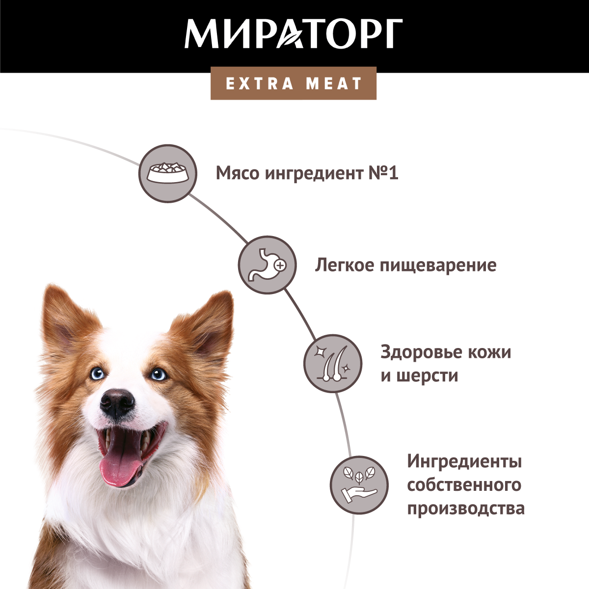 Сухой корм для собак Winner Black Angus с говядиной для средних пород 10кг - фото №3