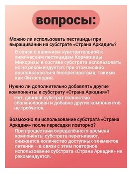 Субстрат с кормилицей для выращивания растений "Страна Аркадия" для Папоротников 1 упаковка 1л. ОЖЗ Кузнецова - фотография № 8