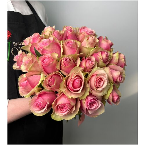 Роза Кения розово-зеленая 25 шт 40 см