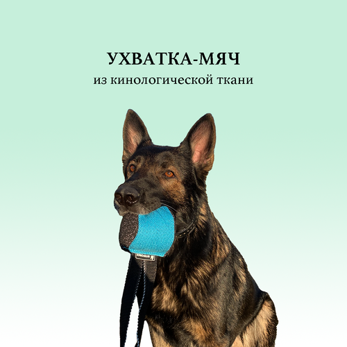 Ухватка мяч BITEFORCE для собак из ринговой ткани, черно-голубая