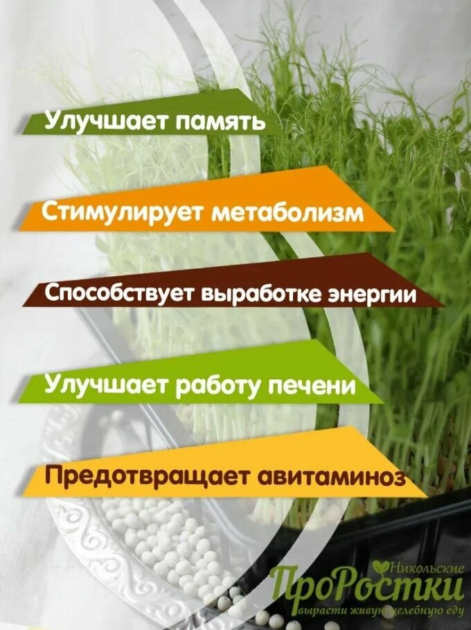Зеленый горох кресс-афилла семена на усатую микрозелень и проращивание 2 кг