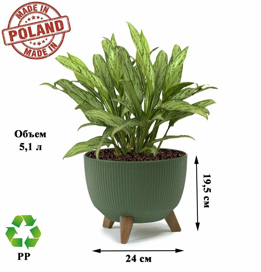 фото Кашпо ROMA