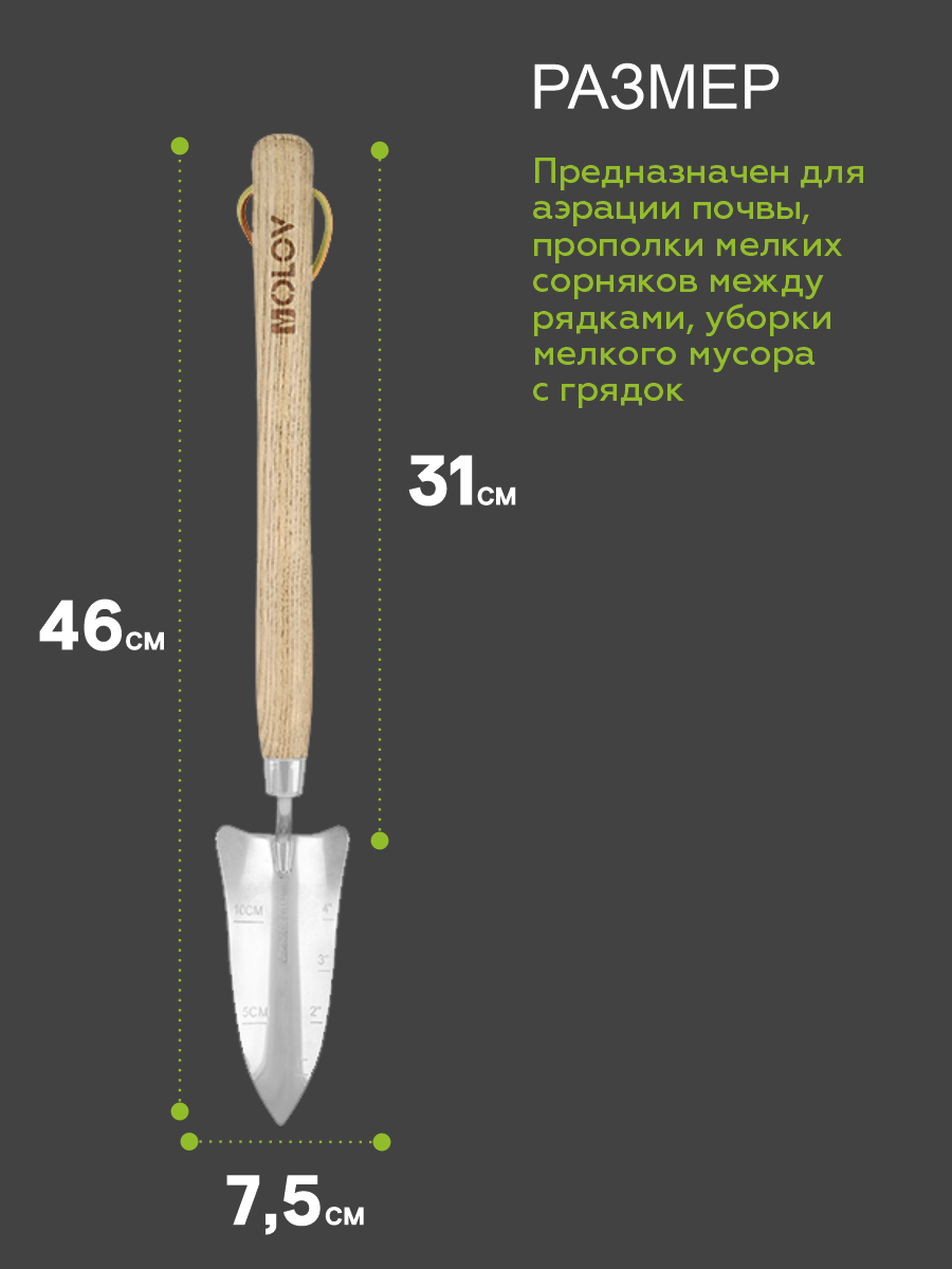 Фото Совок садовый посадочный нержавеющая сталь с удлиненной деревянной ручкой  OLOV Эколайн 