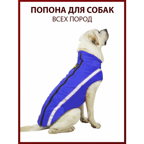 Попона для собак всех пород, размер 5XL, синяя, демисезон/зима