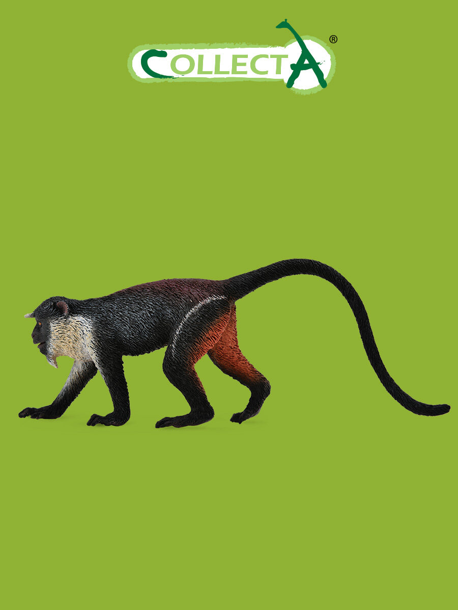 Фигурка животного Collecta "Мартышка диана" коллекционная, высота 4 см, 88673b