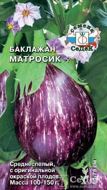 Баклажан Матросик (3 упаковки) семена