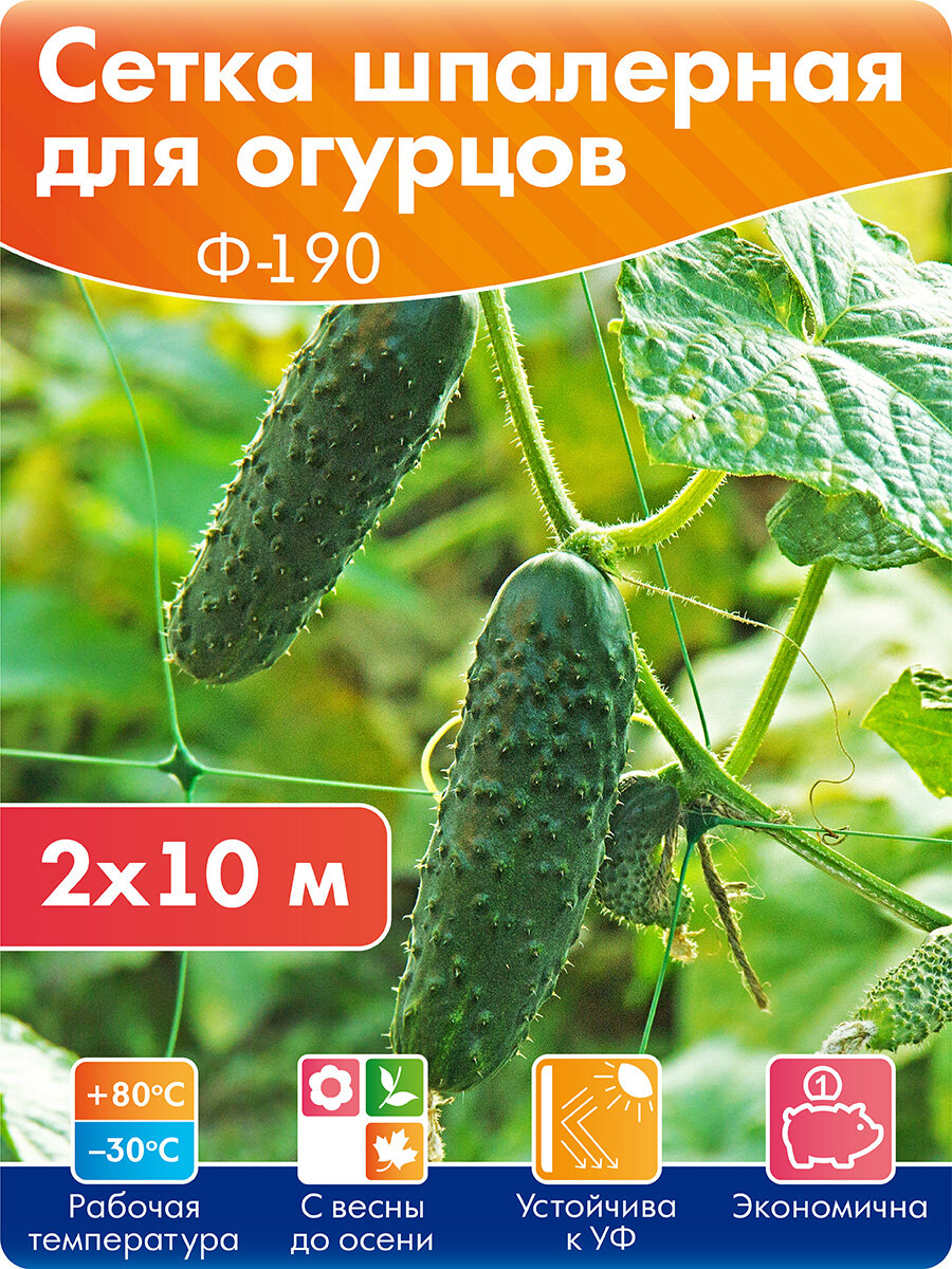 Сетка для огурцов шпалерная садовая размер 2*10 м, ячейка 15х19 см