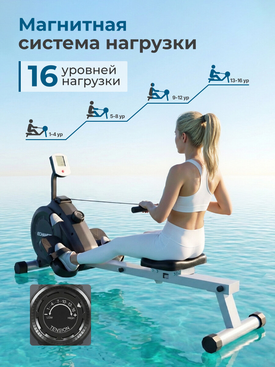 Гребной тренажер DFC ECHANFIT, магнитный — фото 1
