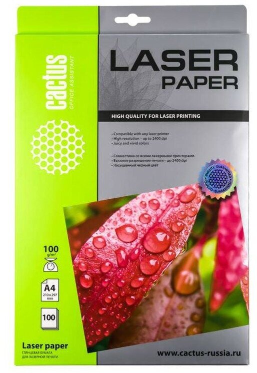 Бумага A4 100г/м2 100л Cactus CS-LPA4100100 Глянцевая для лазерной печати