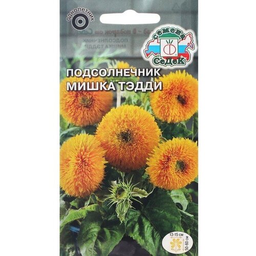 Семена цветов цветок Подсолнечник Мишка Тэдди (масличный, карликовый, махровый, ярко-желтый) 4 упаковки
