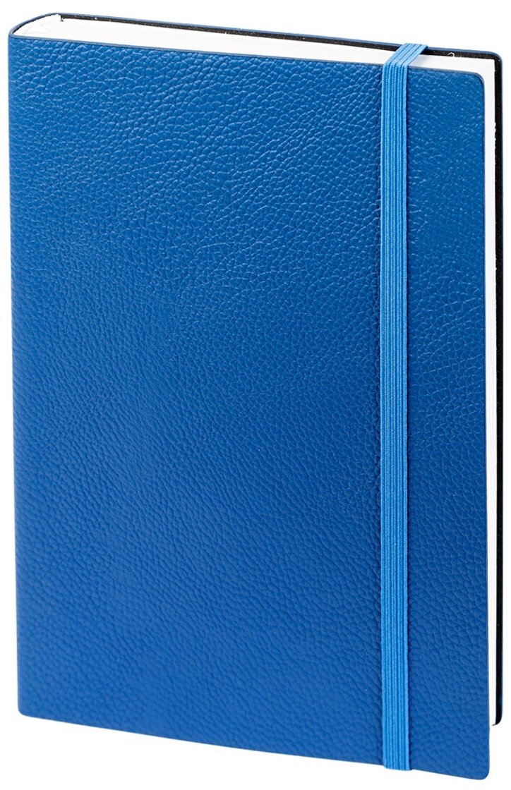 Ежедневник недатированный InFolio Prime искусственная кожа А5 синий (140х200х19 мм)