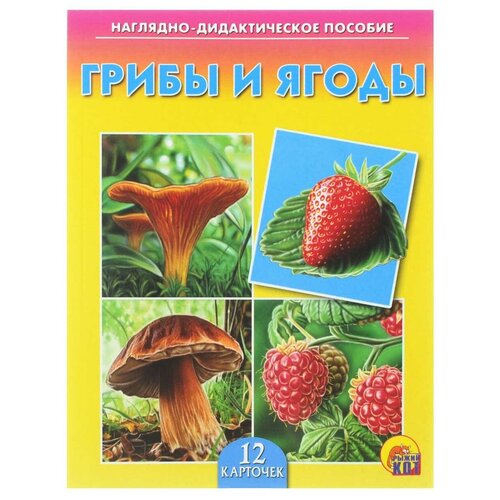 фото Набор карточек рыжий кот грибы и ягоды 16.5x21.5 см 12 шт.