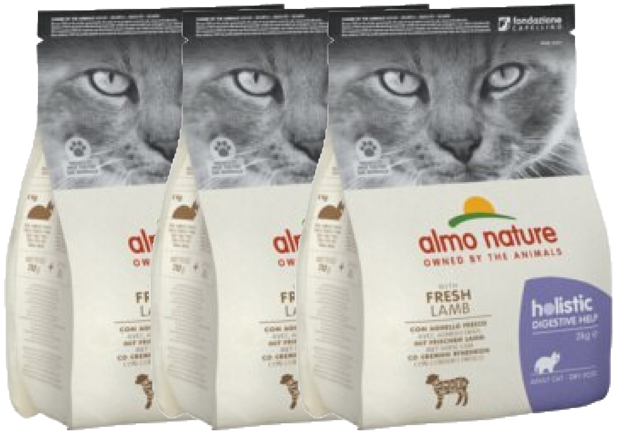 Almo Nature Для кошек: профилактика заболеваний ЖКТ, ягненок (Holistic Cat Dry Digestive help - Lamb) 0,4 кг х 3 шт.
