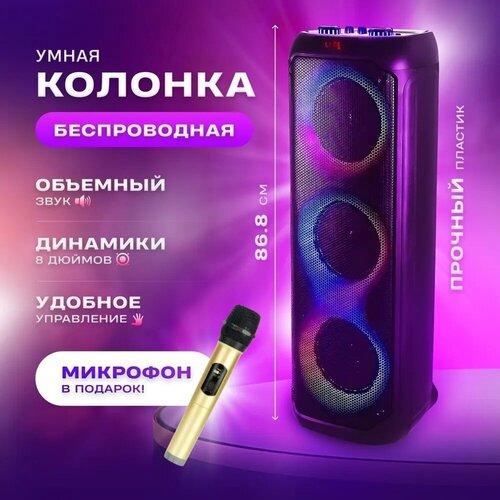 Колонка акустическая портативная Караоке RX8301 NEW 2023 180Вт PMPO 6000W ПультМикрофон Bluetooth AUX USB TF Card FM Подключение гитары 1977000₽