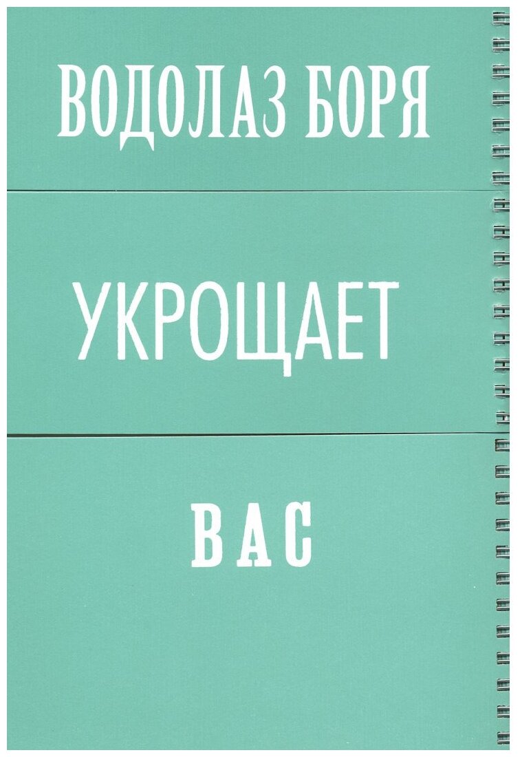 Маскарад (Урбанкова Дагмар, Урбанкова Дагмар (иллюстратор), Тименчик Ксения Михайловна (переводчик)) - фото №6