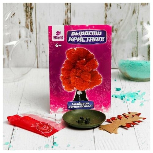 фото Набор для выращивания кристалла "волшебное дерево" цвет красный школа талантов