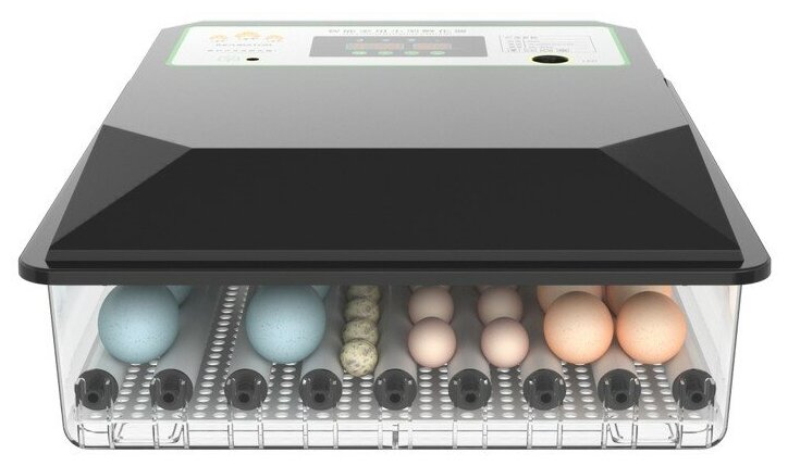 Инкубатор для 64 яиц автоматический IC-64, 220/12 Вольт (вентилятор, овоскоп, гигрометр, работа от аккумулятора) - фотография № 3