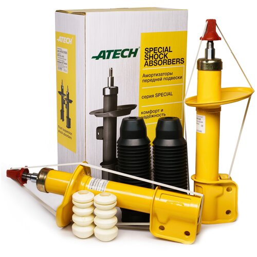 Стойки передней подвески 