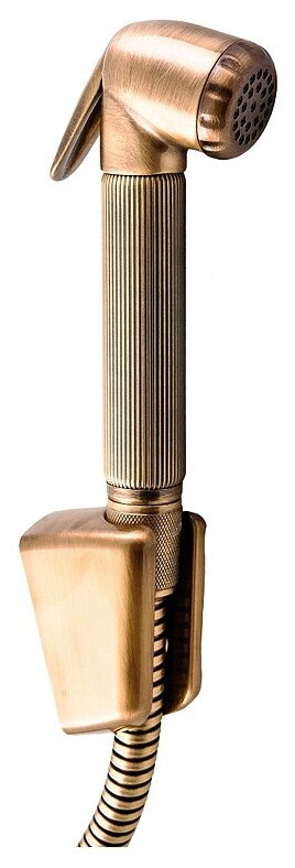 Гигиенический душ Bossini Nikita C04045 BR, бронза