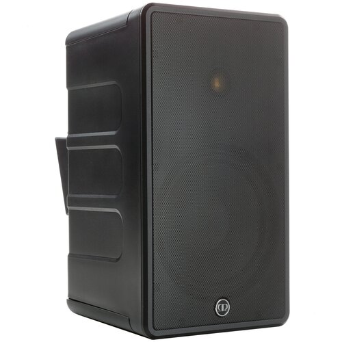 Monitor Audio Climate CL80, black