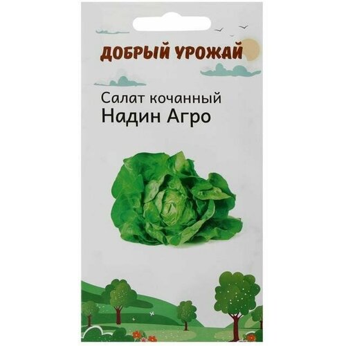 Семена Салат кочанный Надин Агро 0,2 гр 10 упаковок семена салат аттракцион кочанный среднеранние 1 гр