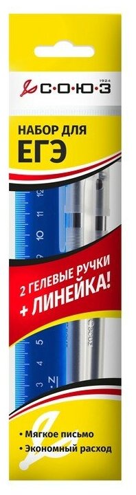Набор гелевых ручек для ЕГЭ Союз Status (0.4мм, черный, с линейкой) 2шт. (КГ 133-13)
