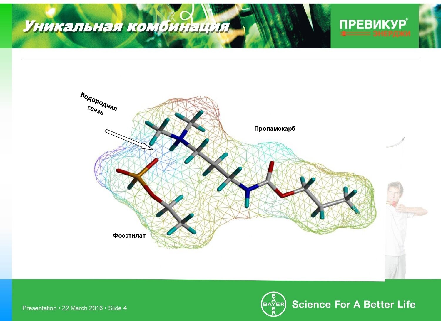 Фунгицид Превикур Энерджи 3 шт по 10 мл - фотография № 6