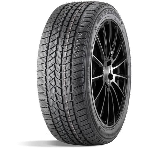 Double Star 205/60 R16 92S DW02