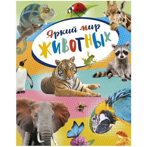 Книга Яркий мир животных