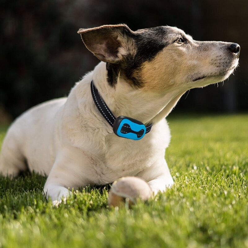 Электронный ошейник для дрессировки собак с функцией "Антилай" TZ-PET 681V (синий) (кость) - фотография № 7
