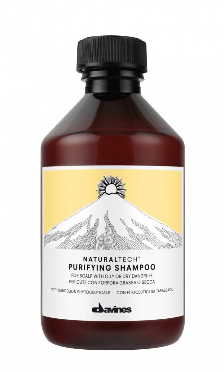 DAVINES NaturalTech - NT Purifying очищающий шампунь против перхоти; 1000 мл — фото 1