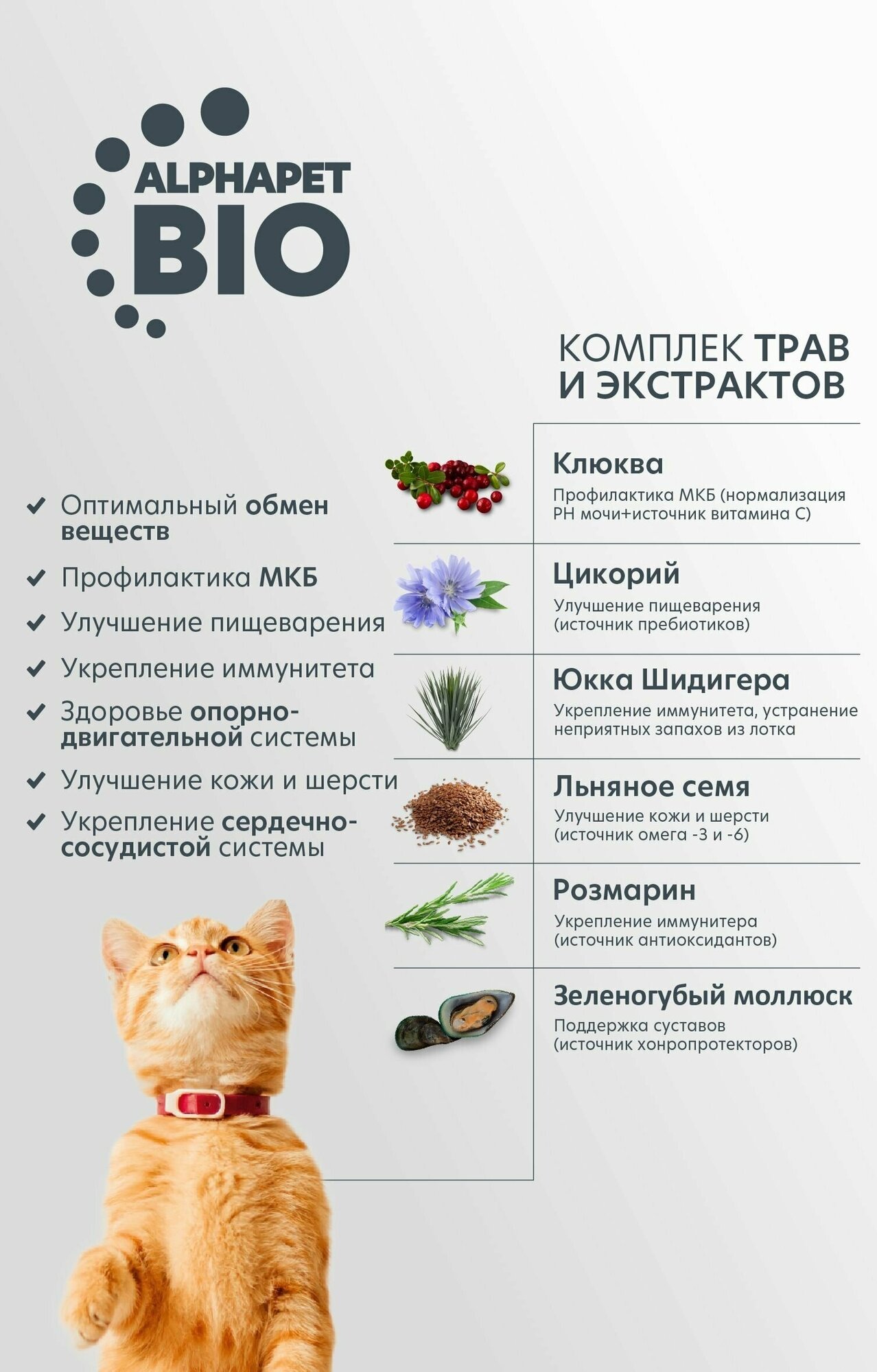 AlphaPet WOW Superpremium Сухой корм для домашних кошек и котов, Утка и потрошки, 1,5 кг - фотография № 16