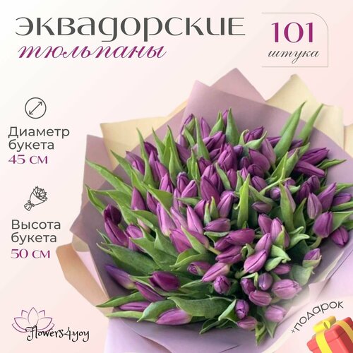 Букет фиолетовых тюльпанов 101 шт в стильной упаковке, 45 см