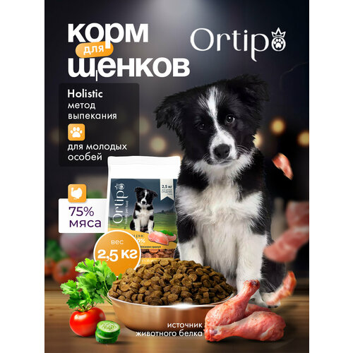 Сухой корм холистик для щенков собак средних пород 