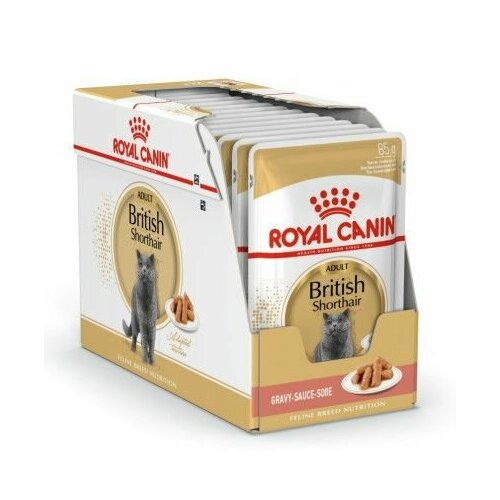 корм сухой royal canin british shorthair kitten для британских короткошерстных котят в Royal Canin Влажный корм для кошек, британской короткошерстной породы, British Shorthair Adult, соус, старше 12 месяцев, 85 г, 24 шт