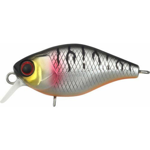 Jackall Chubby 38 (uv mat silver tiger)